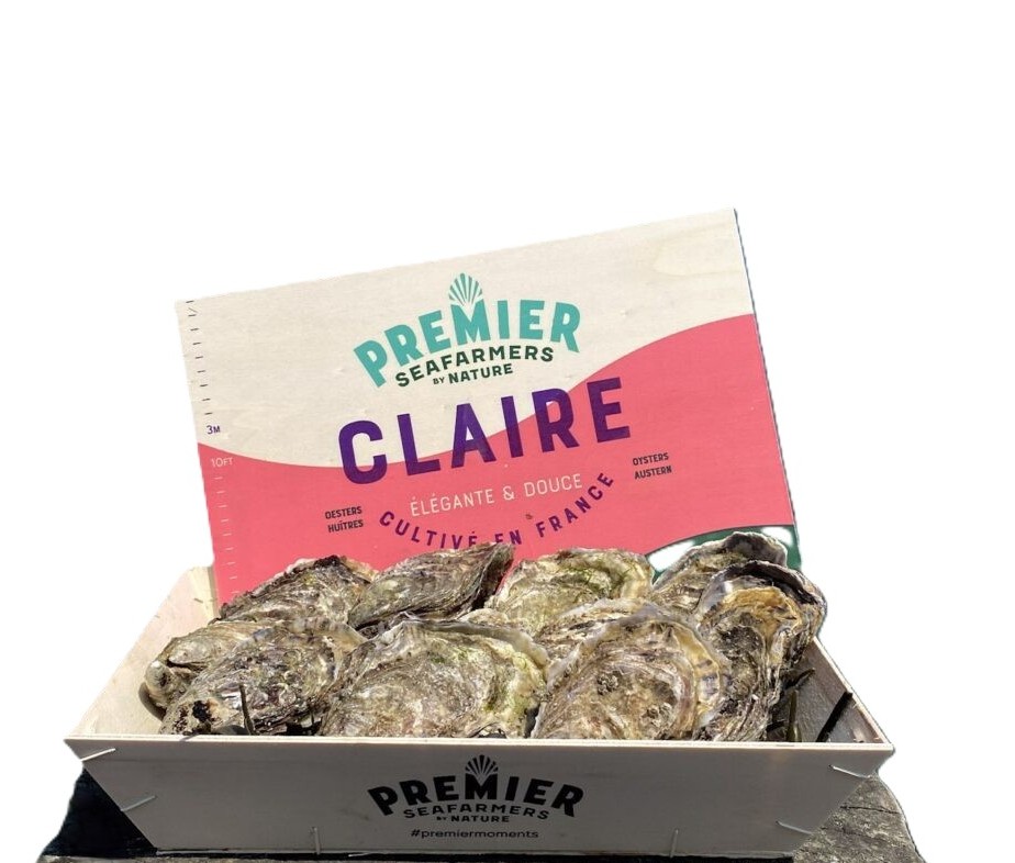 987c8d670f16bfc6c1061280b2a27818-995x1024