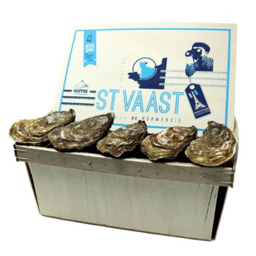 Adri Zoon SAINT VAAST spec